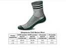 Шкарпетки TLD CHILL MERINO WOOL SOCKS; MONO [BLACK] SM/MD - 2