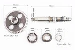 Розподільний вал + шестерня Z-15, d-20mm + шестерня Z-48, d-24mm + кулачок + підшипник 6205 R175A/R180NM - 2
