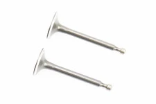 Клапан впускний (h-64; D-25; d-5,45), випускний (h-62; D-24; d-5,45) к-кт 2шт 168F