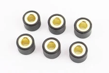 Ролики варіатора 6шт, 18x14 - 14г