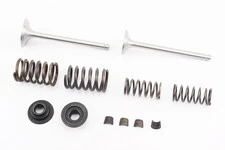 Клапан впускной (h-115; D-39; d-7,95), выпускной (h-115; D-33; d-7,95) + клапанный механизм к-кт R185N/R190N/R192N