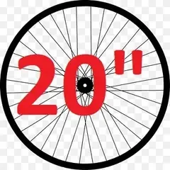 20