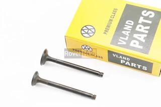 Клапан впускной, выпускной (НЕМАГНИТный) к-кт 64мм