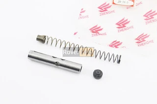 Натягувач ланцюга розподільного валу (втулка + пружина)