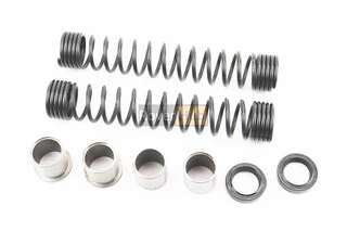 Ремонтний к-кт амортиз. передніх - 8деталей (сальники, пружини, втулки) DELTA