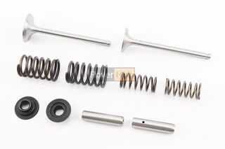 Клапан впускний (h-120; D-42; d-7,95), випускний (h-120; D-36; d-7,95) + клапанний механізм к-кт R195NM