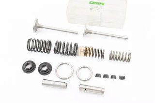 Клапан впускний (h-120; D-42; d-8,9), випускний (h-120; D-36; d-8,9) + клапанний механізм к-кт ZS1100