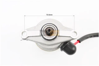 Стартер у зборі