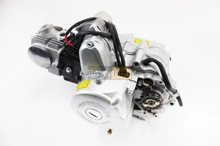 Двигатель мопедный в сборе 110куб (Delta) - "механика"