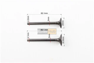 Клапан впускний, випускний (НЕМАГНІТний) к-кт ЗБІЛЬШЕНІ (d=20/23мм; L=65/66мм)