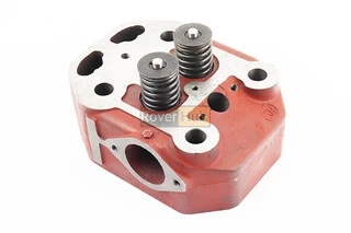 Головка циліндра ZS1100 у зборі + форсунка