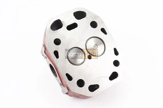 Головка циліндра ZS1100 у зборі + форсунка