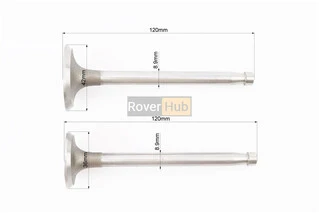 Клапан впускний (h-120; D-42; d-8,9), випускний (h-120; D-36; d-8,9) + клапанний механізм к-кт ZS1100