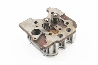 Головка циліндра у зборі Тип 1