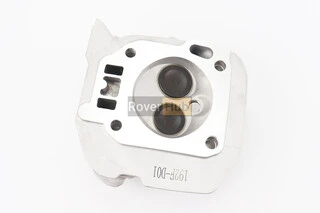 Головка цилиндра в сборе 192F