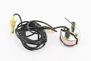 Датчик температури L-2,5m, з покажчиком 0-120 С, D-53mm, Тип 1